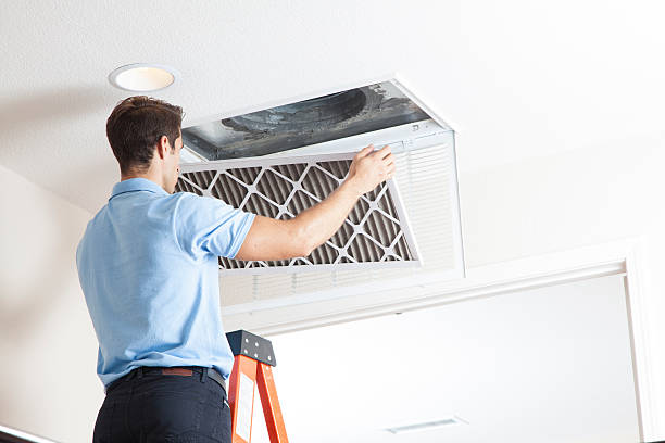 Best Central Air Repair  in Preston, MN